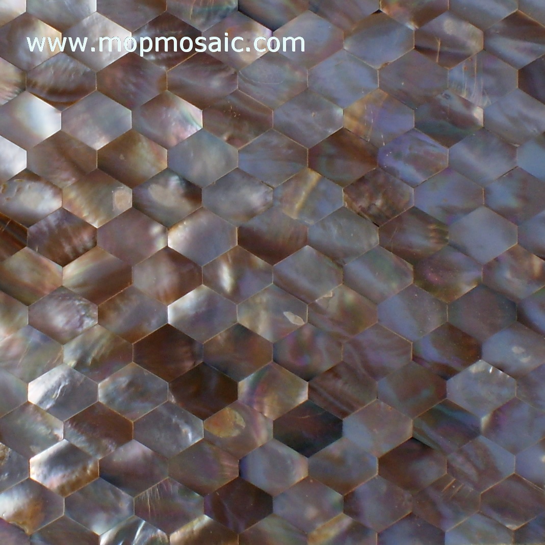 Brown lip Shell Tiles