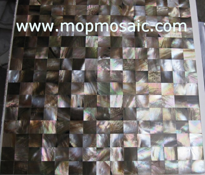 Brown lip Shell Tiles