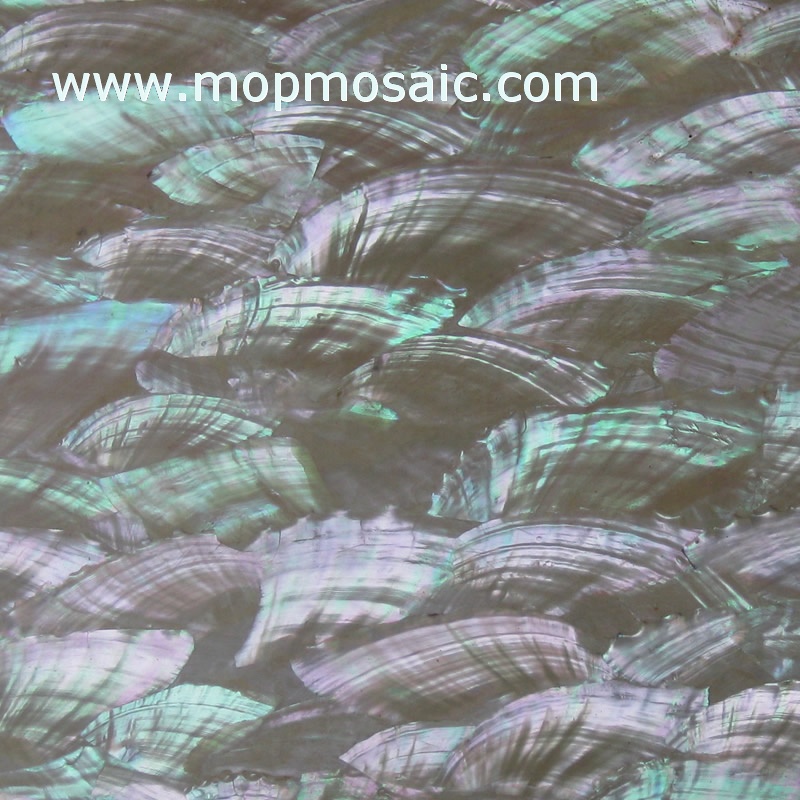 Korean Abalone Shell Paper