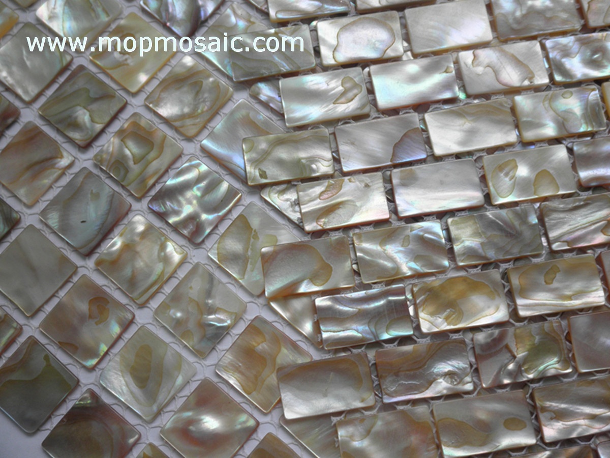 Rianbow dapple shell mosaic,mother of pearl mosaic