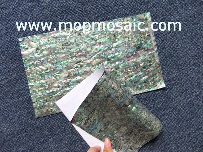 可弯曲新西兰鲍鱼纸鲍鱼贝壳纸