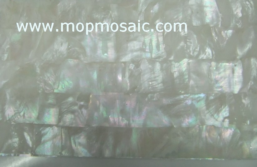 珍珠贝贝壳纸，白蝶贝贝壳纸，白贝壳纸