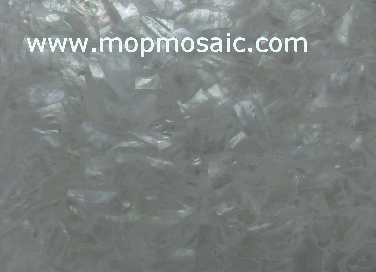 Triangle whitelip shell paper