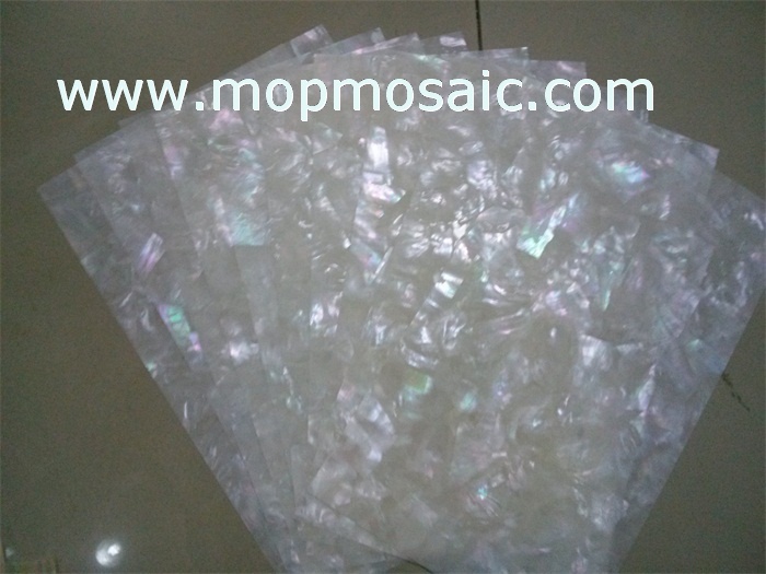 Triangle whitelip shell paper