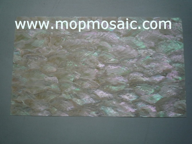 Donkey ear abalone shell paper