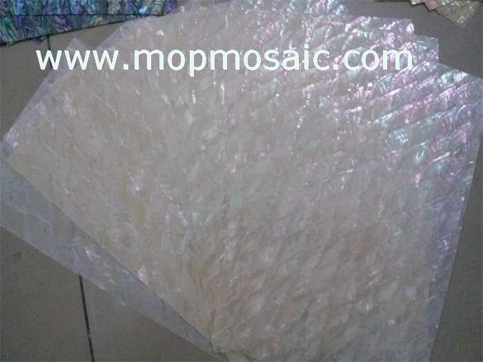 Donkey ear abalone shell paper