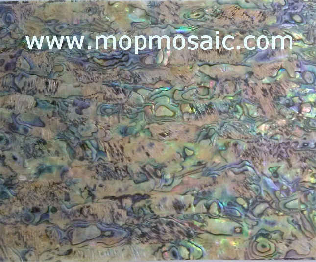 New zealand abalone shell laminate for guitar inlay