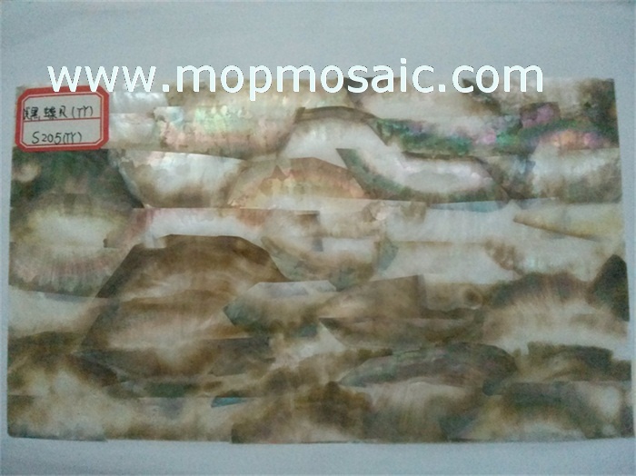 Half black blacklip shell veneer