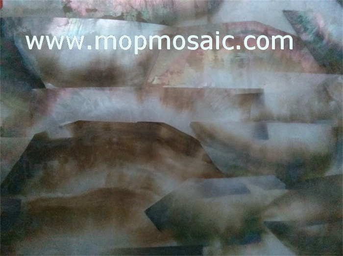 Half black blacklip shell veneer