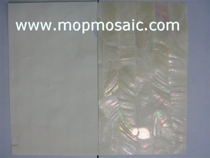 White freshwater shell paper with white glue