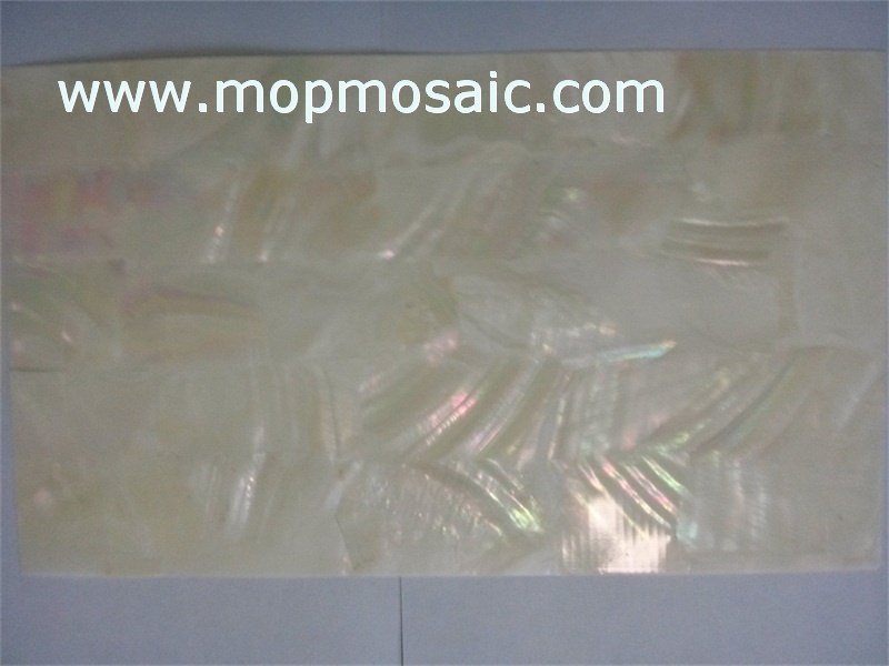 White freshwater shell paper with white glue