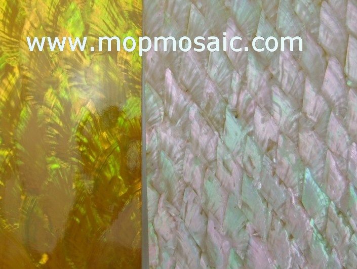 Dyed angle wing korean abalone shell paper