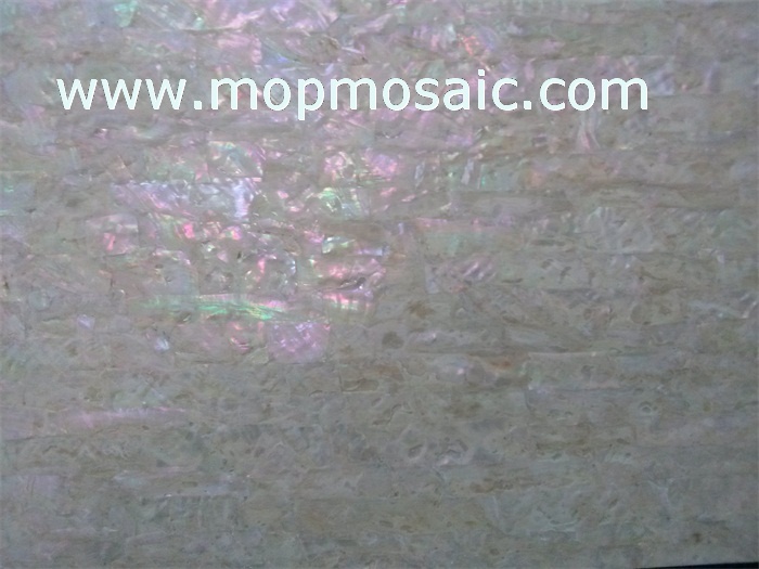 Coarse grained korean abalone shell laminate