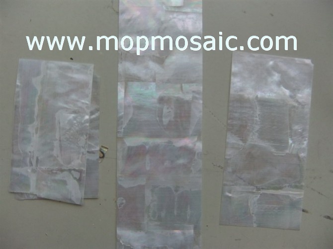 Customized whitelip shell laminate