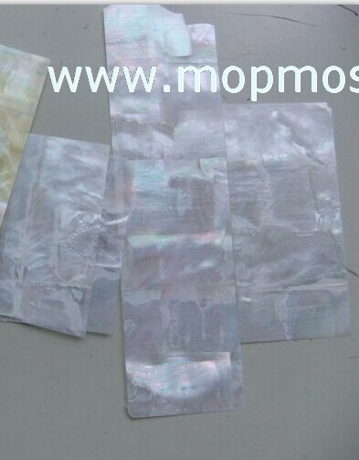 Customized whitelip shell laminate