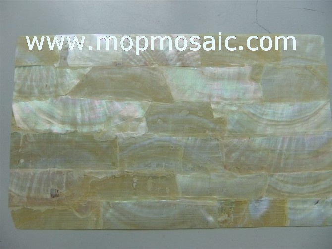 common yellowlip shell paper