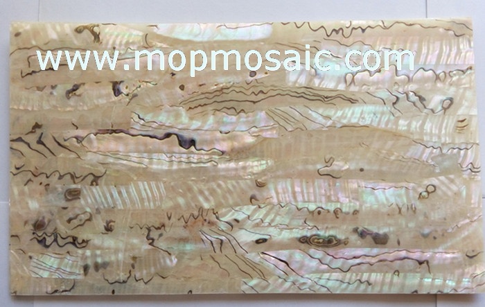 Light color mexican abalone shell lamiante