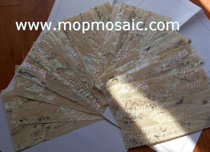 Light color mexican abalone shell lamiante