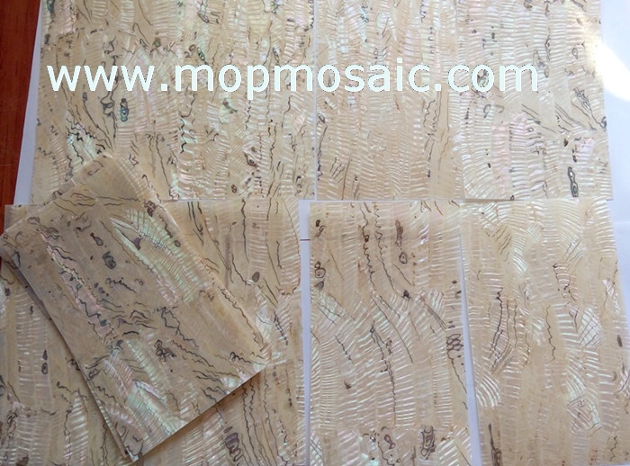 Light color mexican abalone shell lamiante