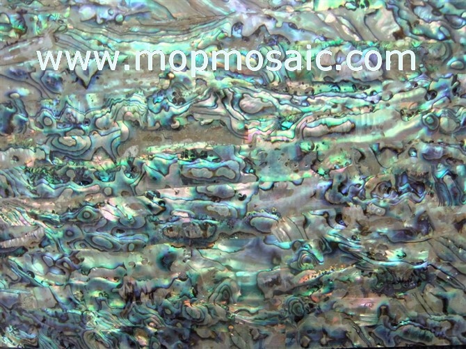 Green new zealand abalone shell lamiante with bug holes