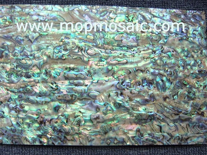 Green new zealand abalone shell lamiante with bug holes