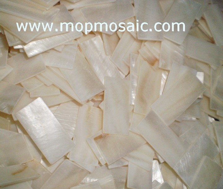 Freshwater shell  mosaic,mother of pearl tiles