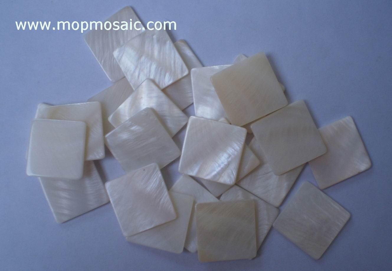 Freshwater Shell mosaic Tiles