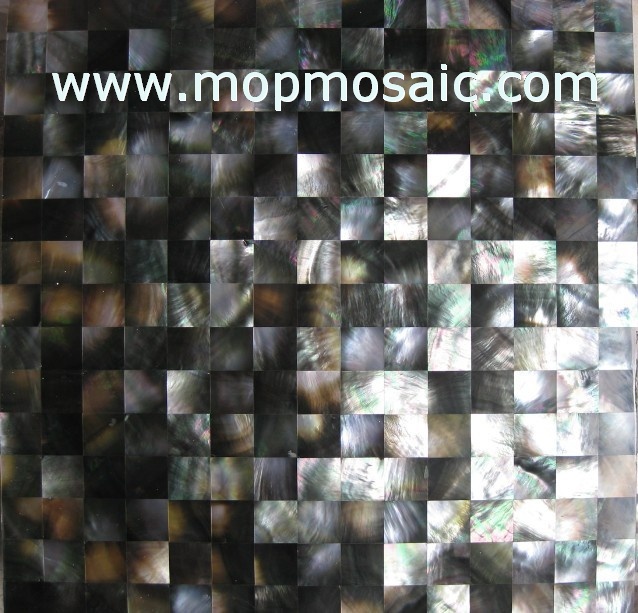 Blacklip Shell Tiles in block