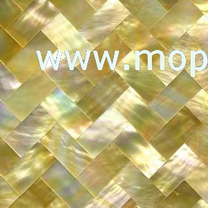 Yellowlip Shell Tiles