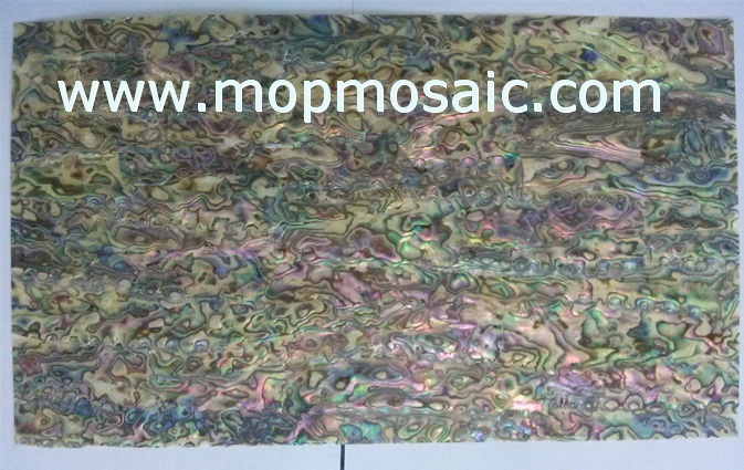 新西兰红色鲍鱼贝壳纸