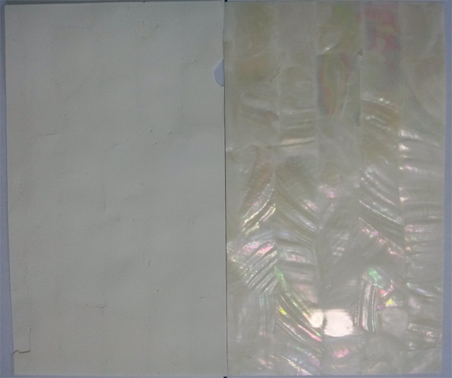 white freshwater shell laminate