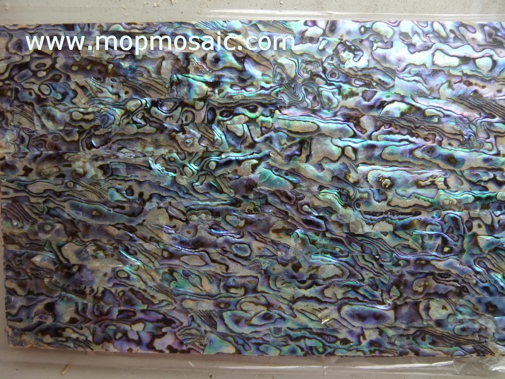 new zealand green abalone shell laminate