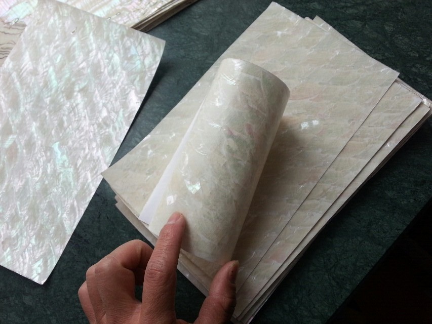 Flexible angle wing abalone shell laminate