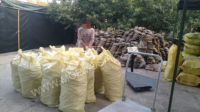 Packing chinese raw river shells