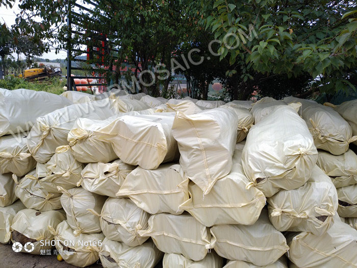 chinese freshwater raw shells