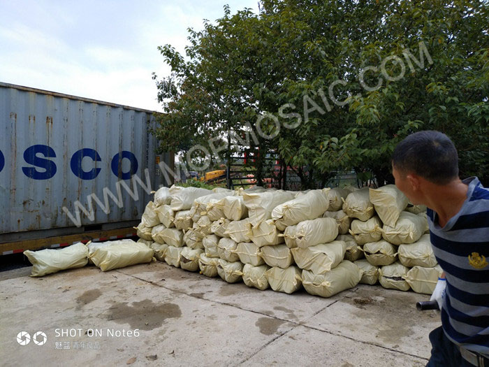 chinese river raw shells
