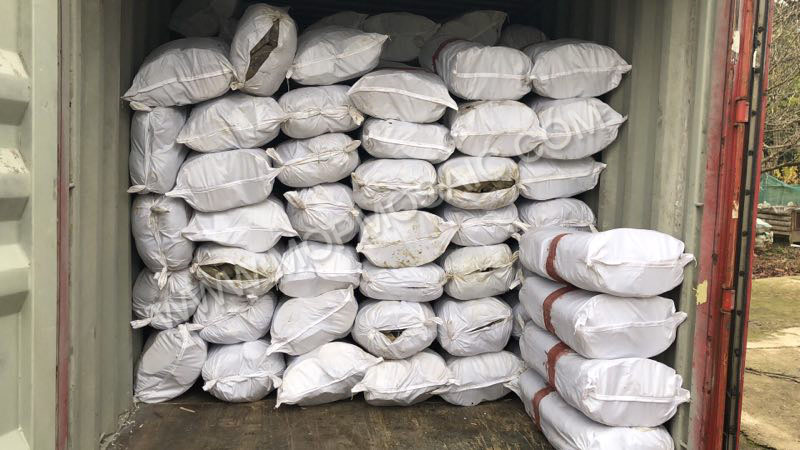 white chinese freshwater river shells of raw materials