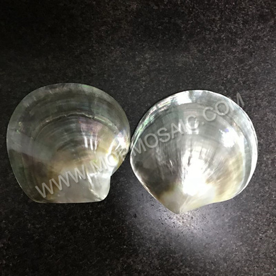 抛光黑蝶贝圆片贝壳装饰摆件