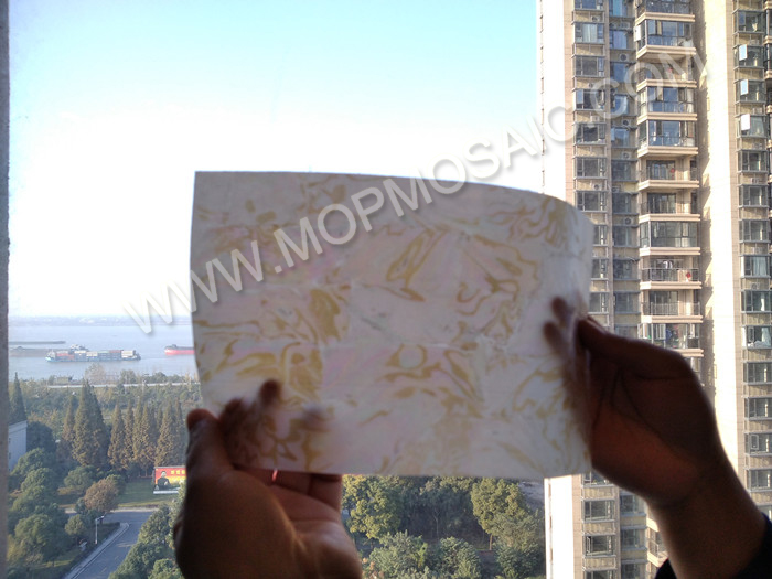 Transparent flexible dapple freshwater shell lamiante for fishing lures